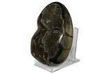 Septarian Dragon Egg Geode - Black Crystals #177415-3